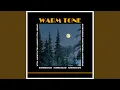 Download Lagu Warm Tone (Feat. LUXURY VILLA, OverTheZoo)