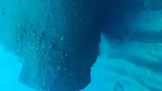                            دندنها