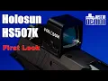 Holosun HS507K on SIG P365XL