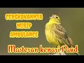 Download Lagu Masteran Kenari Paud Cengkok Mewah suara ambulan