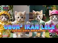 Download Lagu UBUR - UBUR IKAN LELE VERSI KUCING TERBARU