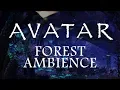 Download Lagu Avatar Ambience - Pandora at Night (Bioluminescence, Forest Sounds and Occasional Rain)