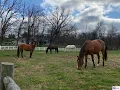 1828 Deckard School Road Radcliff Real Estate