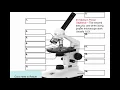 1 Microscope parts functions of