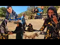 Download Lagu Nomadic life, sadness and joy in the heart of nature - The sad story of a nomadic man