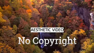 Download AESTHETIC VIDEO ALAM NO COPYRIGHT MP3