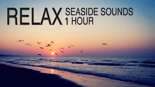 صوت البحر بدون موسيقىى صوت الامواج صوت البحر والطيور اصوات الطبيعة ساعة كاملة Seaside Sounds 