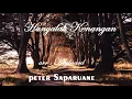 Download Lagu LAGU AMBON TERBARU 2018 PETER SAPARUANE - HANYALAH KENANGAN  (COVER KEYBOARD)