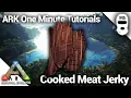 HOW TO MAKE COOKED MEAT JERKY Ark Survival Evolved One Minute Tutorials
