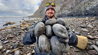 INSANE Fossil Haul After Coastal Storm Ammonites EVERYWHERE