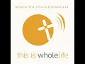 Download Lagu Voices of WholeLife: Styles of Connection - Nate Elias