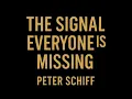 Download Lagu The Signal Everyone’s Missing — Peter Schiff