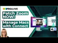Patch Zoom NOW And Manage Macs in Connect