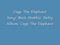 Cage The Elephant Back Stabbin' Betty (Lyrics)