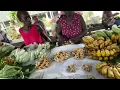 Download Lagu PEKAN MUNDA,,!! HARI BIASA PUN BANYAK JUALAN DI MARKET // SEMUANYA FRESH