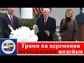 Lagu President Trump and the First Lady attended a Thanksgiving turkey pardon ceremony.