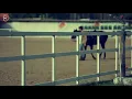 سيف نبيل شخبارك جديد وحصري 2018 فيديو كليب