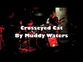 Crosseyed Cat cover - Muddy Waters