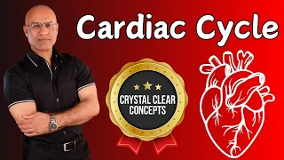 Cardiac Cycle | Cardiology | Systole & Diastole | Cardiovascular🫀