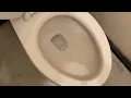 166 Terrible JOANN Unisex Restroom