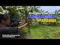 Download Lagu Mini Farmlot in Pampanga