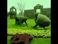 Download Lagu Green house 