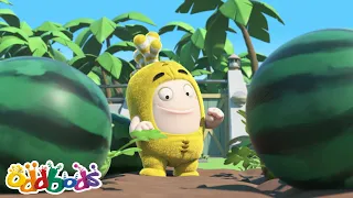 Bubbles' Experimental Melons! Don't Eat Them! 🤯 | Oddbods Full Episode | Funny Cartoons for Kids