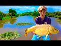 Download Lagu Carp Fishing Big Pond For Big Carp!