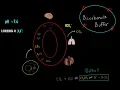 Bicarbonate Buffer System Respiratory Kidney Buffer System Maintaining Blood pH MCAT