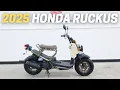 10 Things You Need To Know Before Buying The 2025 Honda Ruckus