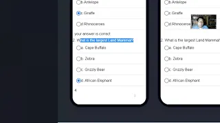 Radio Buttons and Switch Case in Ionic