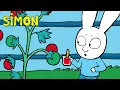 Download Lagu 🍅 Tomato Trouble! Will Simon \u0026 Gaspard Find the Elf? 👀✨ | Simon | Full episodes Compilation 1hr S1