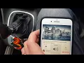 Anker Roav F2 Smartcharge Kit Review
