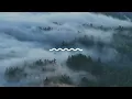 WAVE pt. 1 - Marko Cirkovic