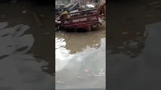 الاسكندرية غرقانة دندنها