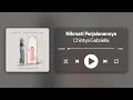Download Lagu Chintya Gabriella - Nikmati Perjalanannya
