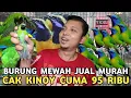 Lagu UNTUNG TIPIS YG PENTING LARIS || CAK KINOY CUMA 95 RIBU CAK CUNGKO 750 RIBU DI KIOS LANGGENG JAYA