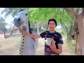 لما ابوك يفلس ويبيع مزرعة الخيل بسبب اخوك الصغير 🐎😂| علاء حسين