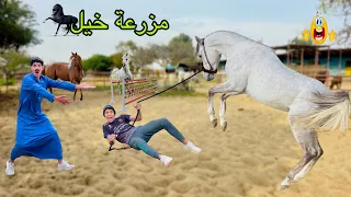 لما ابوك يفلس ويبيع مزرعة الخيل بسبب اخوك الصغير     علاء حسين دندنها