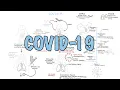 Download Lagu **COVID-19**  a visual summary of the new coronavirus pandemic