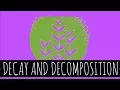 Decay and Decomposition - How Does Decay and Decomposition Work