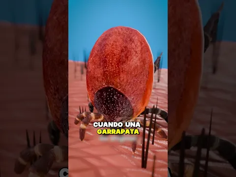😱 ¿CUÁNTA SANGRE PUEDE BEBER UNA GARRAPATA?! 🩸 ¡CRECE 50 VECES!