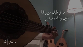 عمر مامل قلبك عود نغمة وتر Omar Ma Mal Glbak Cover 