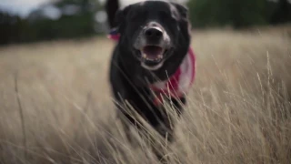 Exploring Caves – Baja or Bust 55