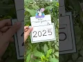 So cute New year card DIY