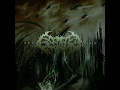 The Throne of Higher Being