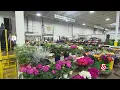 Ever wonder where New England florists get their flowers