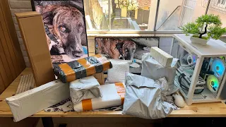 Mega Unboxing Compras do AliExpress com as taxas do Remessa Conforme