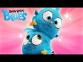 Angry Birds Blues | The Complete Collection! 🤩