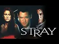 Download Lagu The Stray - Full Movie